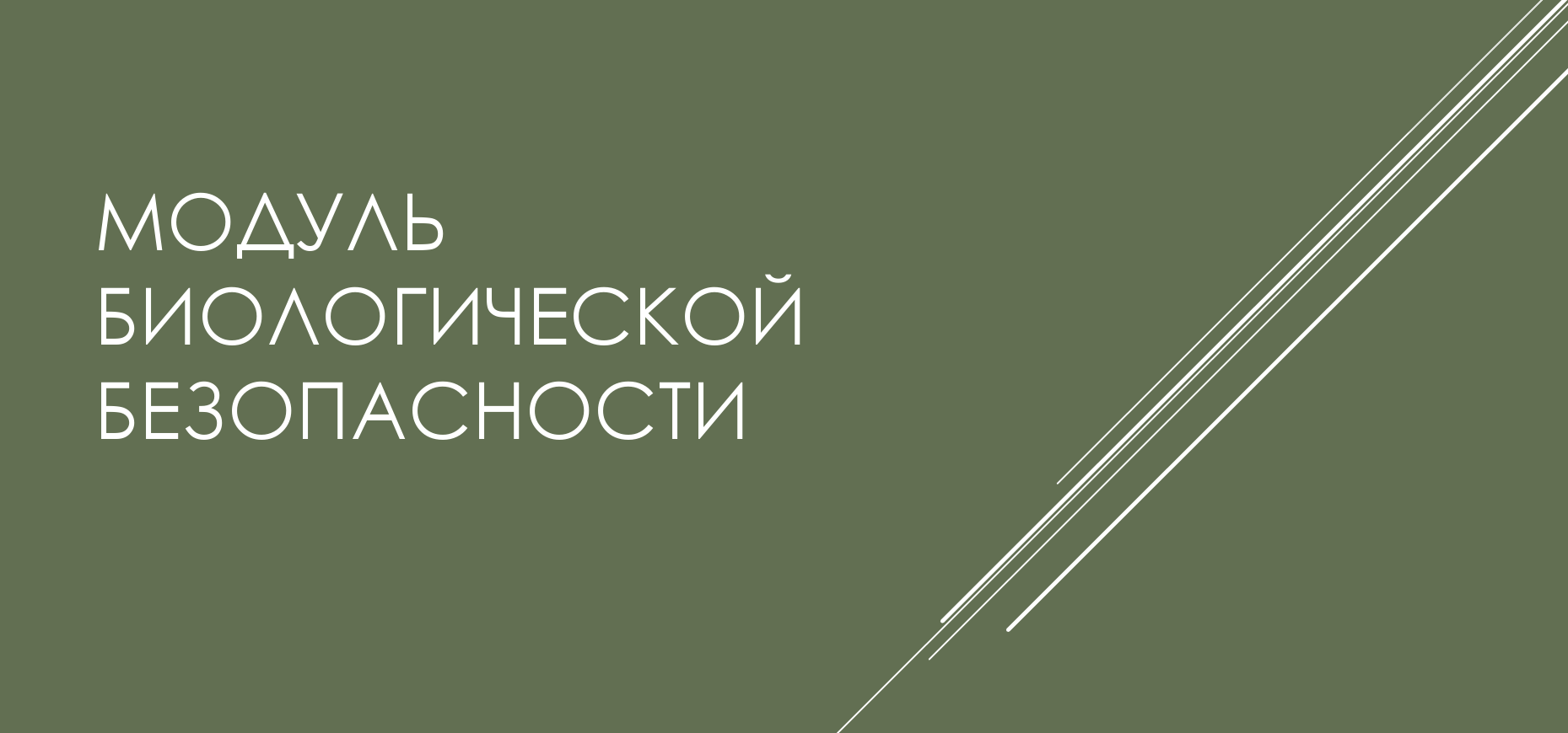Заголовок