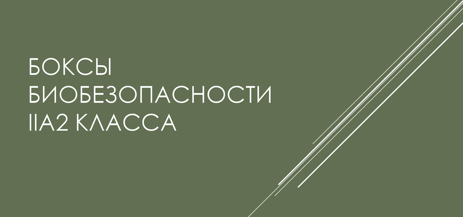 Заголовок
